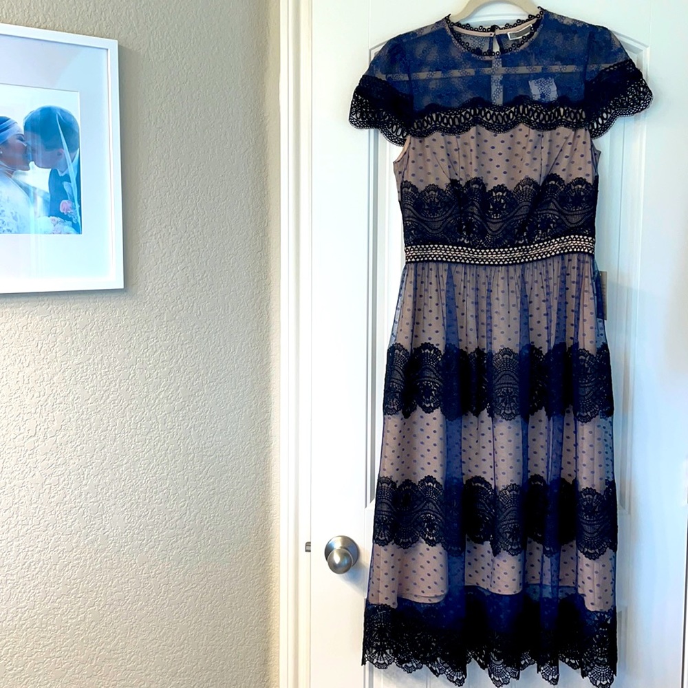 Chelsea28 black and navy lace midi dress nwt